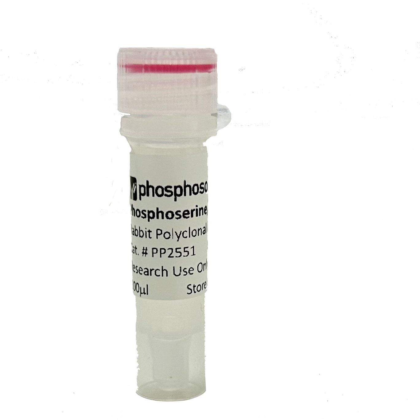 通用磷酸化抗体-抗磷酸化丝氨酸/苏氨酸Anti-Phosphoserine/threonine