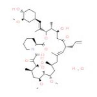 他克莫司一水合物