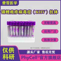 抗锦鲤疱疹病毒症(KHV)单克隆抗体,KHV抗体