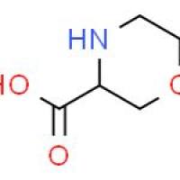 3-吗啉羧酸