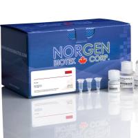 细胞质和核RNA纯化试剂盒（提取试剂盒） 现货|Cytoplasmic & Nuclear RNA Purification Kit (50)