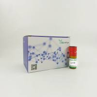 玉米素，植物细胞培养级，99%