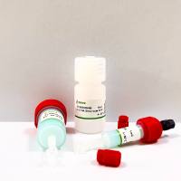 镍亲和层析填料（Ni FF）