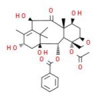 10-脱乙酰基巴卡丁 III
