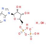 二磷酸腺苷单钾盐