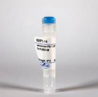 InVivoMAb 抗小鼠 PD-1体内抗体|InVivoMAb anti-mouse PD-