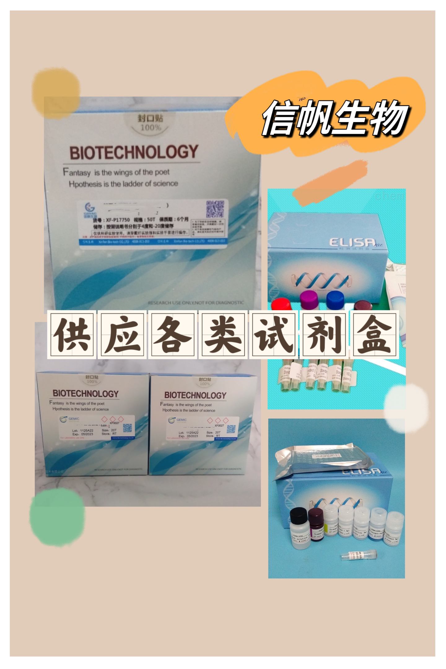 磺胺十六合一检测试剂盒