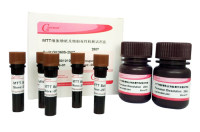 GK3605 MTT 细胞增殖及细胞毒性检测试剂盒