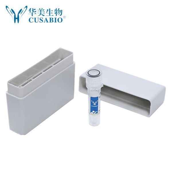 DNA/RNA提取纯化试剂盒（磁珠法）（DNA/RNA extraction and purification kit (Magnetic bead method)）