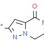 5-甲基-2-硝基-6,7-二氢吡唑并[1,5-A]吡嗪-4(5H)-酮