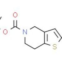 2-溴-6,7-二氢噻吩并[3,2-C]吡啶--5(4H)-甲酸叔丁酯