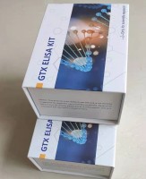 粪便隐血定性检测试剂盒(匹拉米洞法)