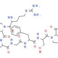 舒缓激肽片段1-7