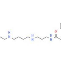 1-Naphthylacetyl Spermine Trihydrochloride