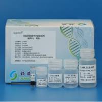 全血基因组DNA提取试剂（磁珠法）