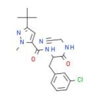 组织蛋白酶抑制剂1