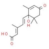L-苹果酸 二钠盐