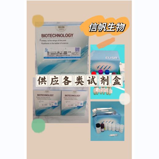 磺胺二钾基嘧啶检测试剂盒