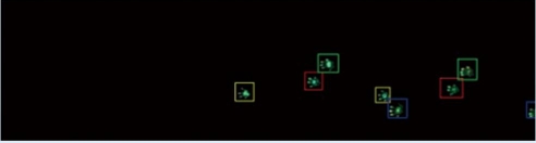 大小鼠步态分析系统