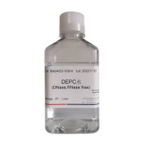DEPC水(DNase、RNase free)