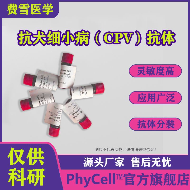 抗犬细小病（CPV）单克隆抗体，CPV McAb，CPV抗体