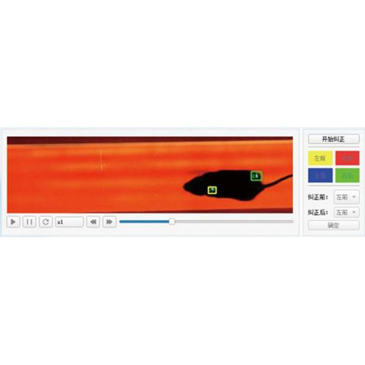 大小鼠步态分析系统