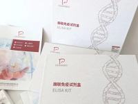 人热休克蛋白60(Hsp-60)ELISA试剂盒