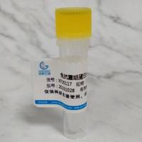 兔抗重组蛋白A（SPA）抗体