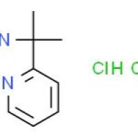 2-(2-吡啶基)-2-丙胺双盐酸盐