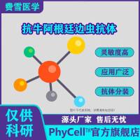 抗牛阿根廷边虫单克隆抗体