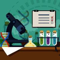 整体课题,实验外包