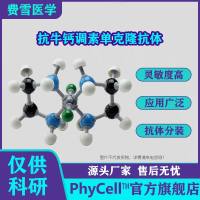 抗牛钙调素单克隆抗体