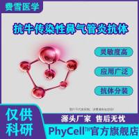 抗牛传染性鼻气管炎IBR单克隆抗体,牛IBR抗体