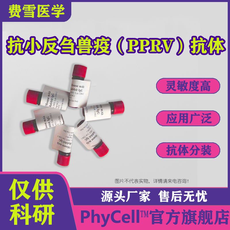 抗小反刍兽疫（羊瘟）单克隆抗体PPRV，PPRV