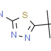 2-氨基-5-叔丁基-1,3,4-噻二唑