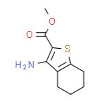 3-氨基-4,5,6,7-四氢-苯并噻吩-2-羧酸甲酯