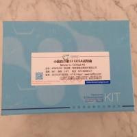 小鼠白介素13检测试剂盒