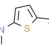 5-(二甲氨基)-2-噻吩甲醛