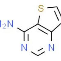 4-氨基噻吩并[3,2-D]嘧啶