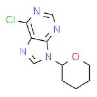 6-氯-9-(四氢-2-吡喃基)嘌呤