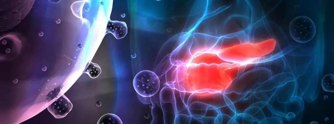 单一细胞外囊泡分析:胰腺导管腺癌早期检测新助力