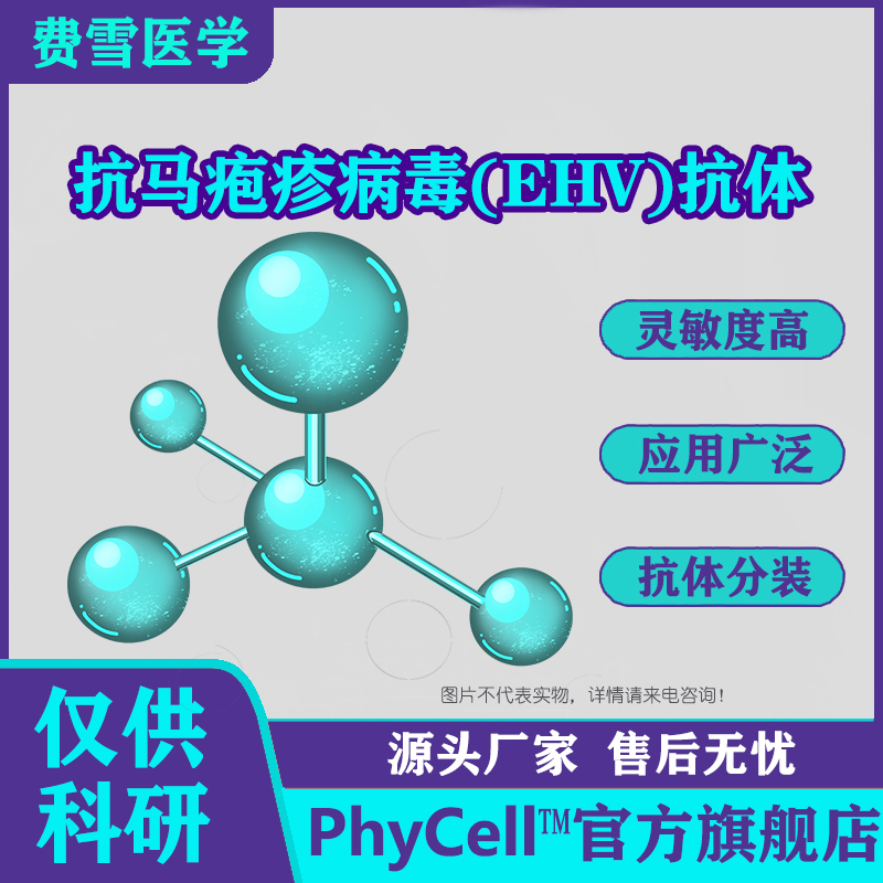 抗马疱疹病毒(EHV)单克隆抗体，EHV抗体