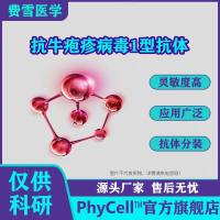 抗牛疱疹病毒1型单克隆抗体