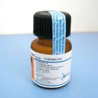 Merck 蛋白酶K  原装正品 1245680100