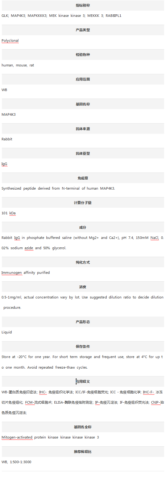 Anti-MAP4K3 Antibody