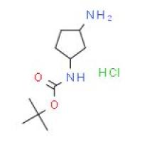 3-氨基环戊基氨基甲酸叔丁酯盐酸盐