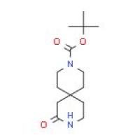 8-氧代-3,9-二氮杂螺[5.5]十一烷-3-甲酸叔丁酯