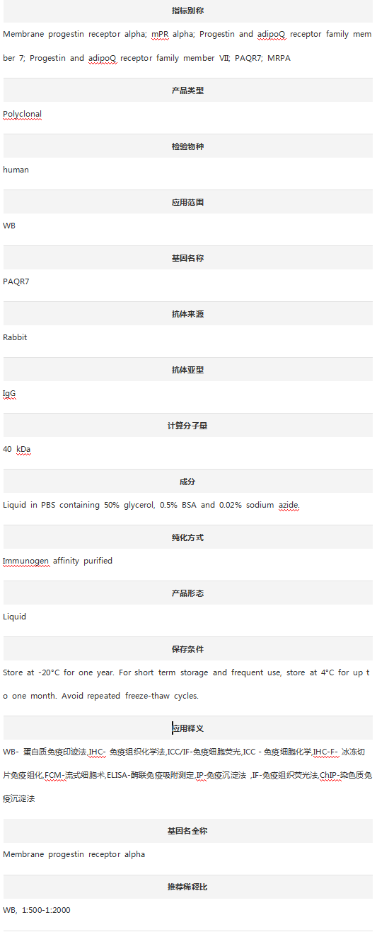 Anti-MPRA/PAQR7 Antibody