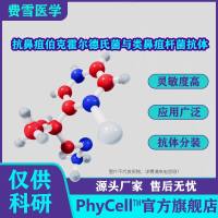 抗鼻疽伯克霍尔德氏菌与类鼻疽杆菌单克隆抗体