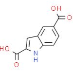 5-羧酸吲哚-羧酸